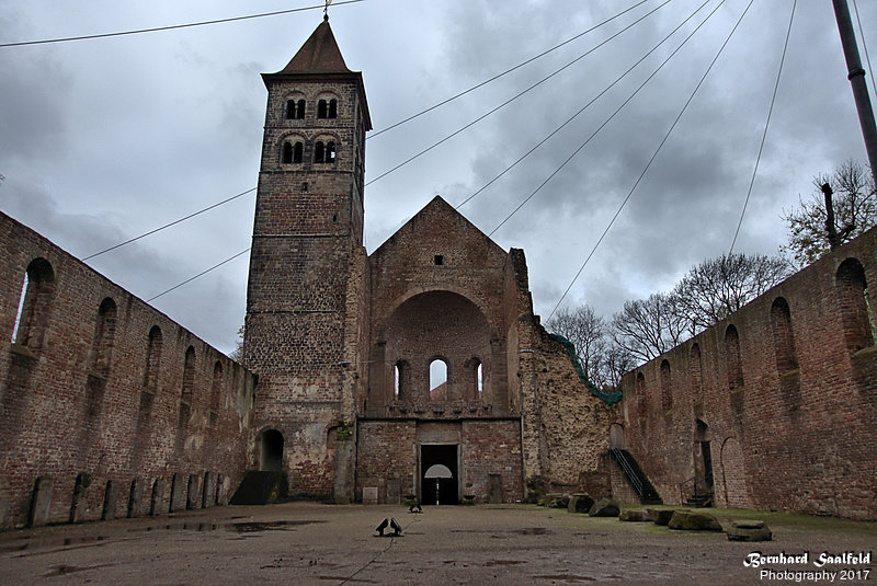 Bernhard Saalfeld - DSC00140 -1